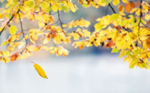 谁来隐藏你的皱纹